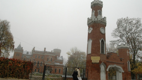 Воронежцам предложили бесплатно посетить дворец Ольденбургских 4 ноября