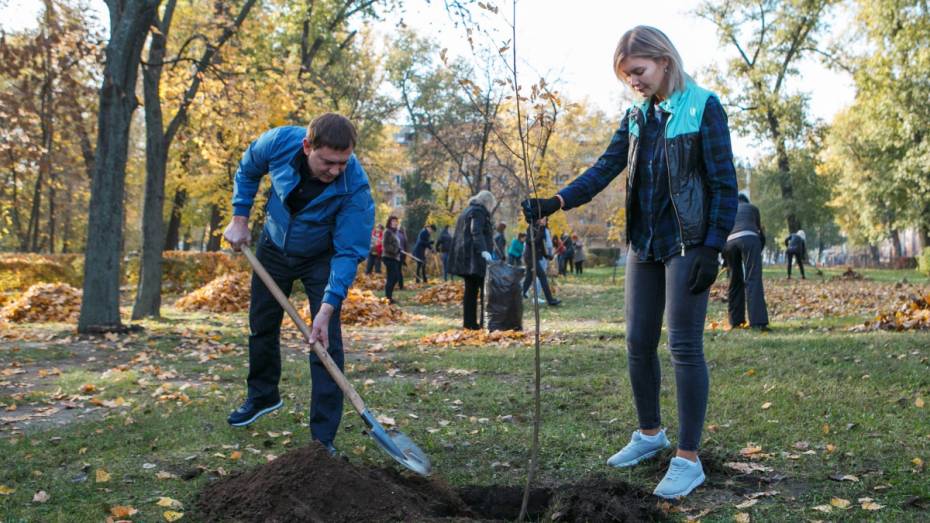 Председатель облдумы Владимир Нетесов посадил деревья в воронежском парке Патриотов