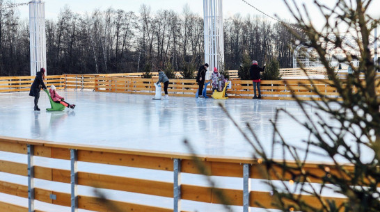 Каток на Адмиралтейской площади посетили более 1,5 тыс воронежцев