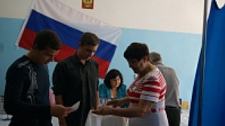 В Воробьевском районе на выборах губернатора проголосовали 94,23% избирателей