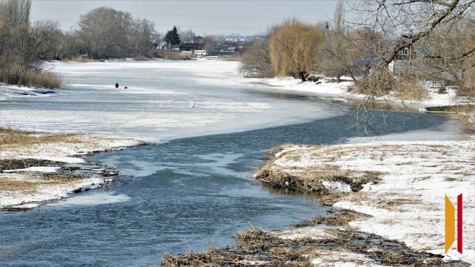 По уровню тепла 2025 год стал вторым в истории Хоперского заповедника Воронежской области