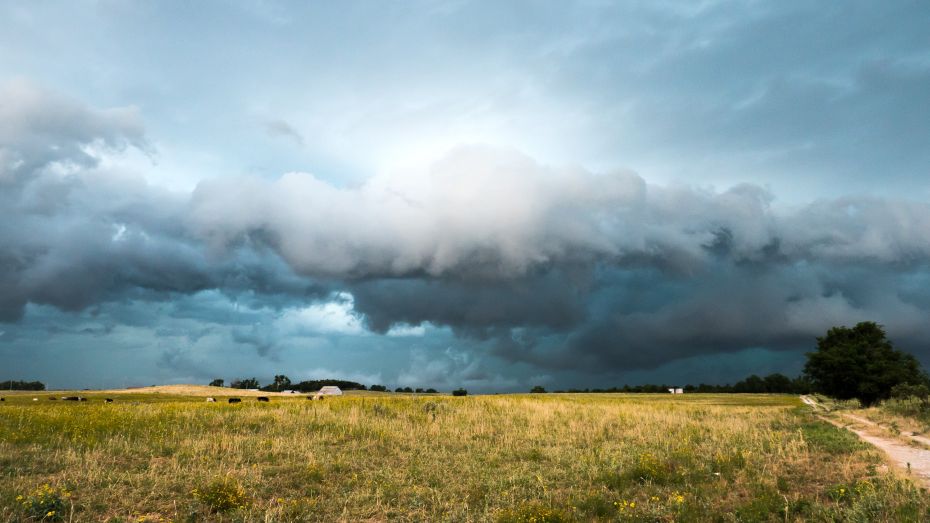 Синоптики указали на сочетание неблагоприятных погодных явлений в Воронежской области