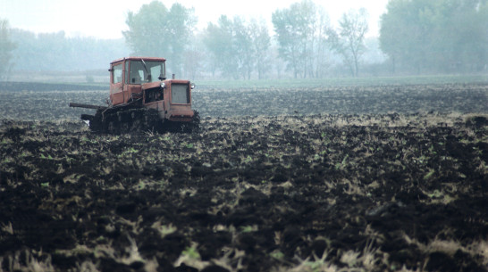 Во всех районах Воронежской области началась посевная