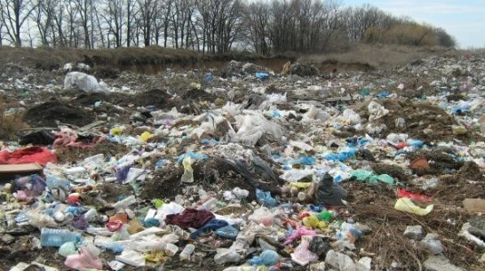 В Бутурлиновском районе на землях сельхозназначения устроили свалку