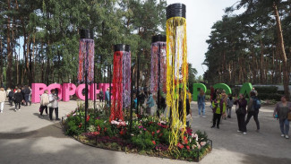 За 2 дня международный фестиваль «Город-сад» в Воронеже посетили более 55 тыс человек