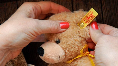 В Воронеже откроется музей игрушечных медведей