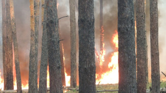 МЧС предупредило о чрезвычайной пожароопасности в Калаче