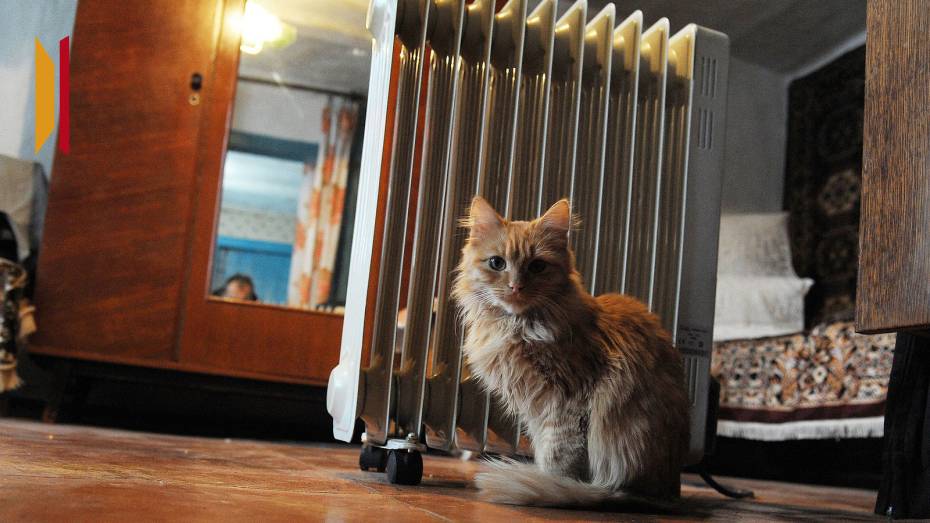 Воронежская область побила рекорд по потреблению электричества из-за мороза