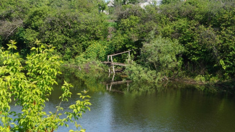 В Воронежской области рыбачка упала с моста и утонула