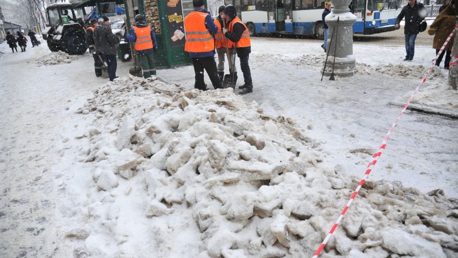 Глава управления дорожного хозяйства: Воронеж обеспечен снегоуборочной техникой на 30% 