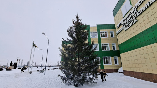 Жительница Бутурлиновки подарила городской школе 11-метровую ель