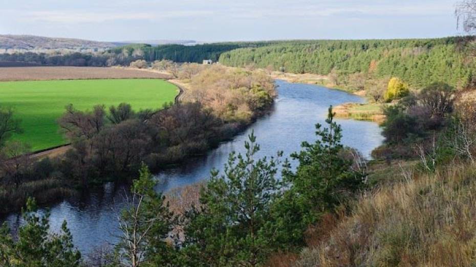  Статус озера Круглое под Воронежем обсудят на общественных слушаниях