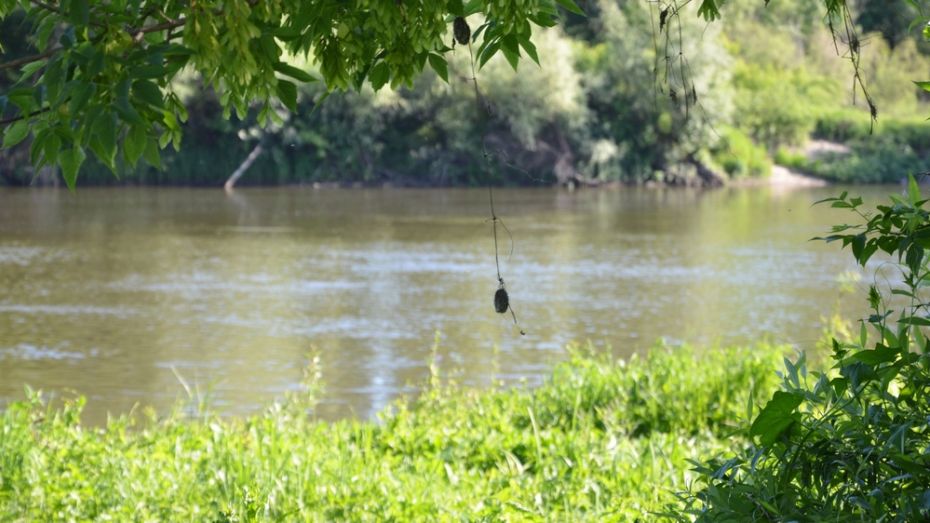 В воронежском селе 28-летний мужчина утонул в озере Раскаты