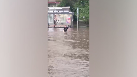 В Воронеже автобус едва не переехал ребенка, который купался в луже