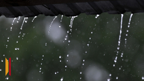 На выходных воронежцев ожидают кратковременные дожди и грозы