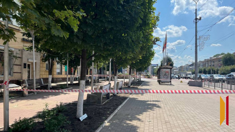 В Воронеже для устранения последствий атаки БПЛА перекрыли остановку возле ТРЦ «Галерея Чижова»