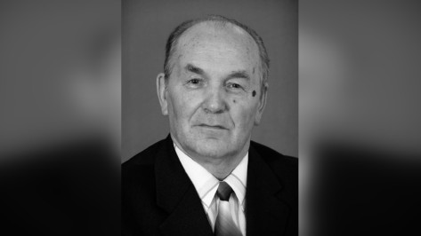 Умер 84-летний профессор воронежского вуза Вячеслав Василисин