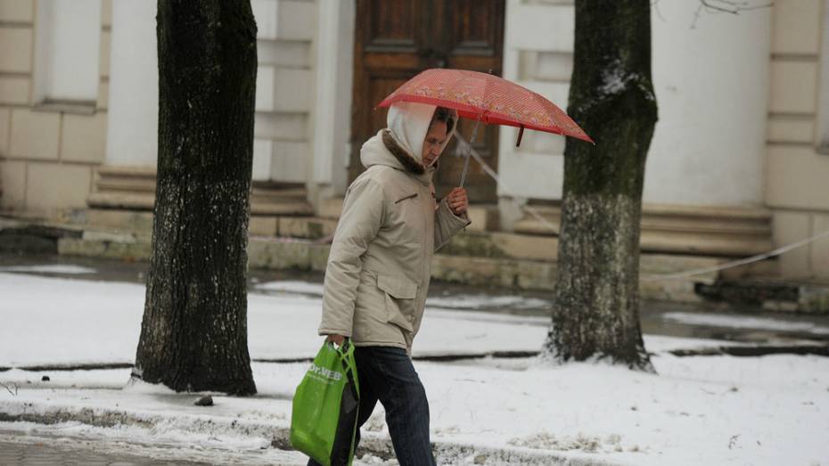 Снег с дождем может пойти в выходные в Воронежской области