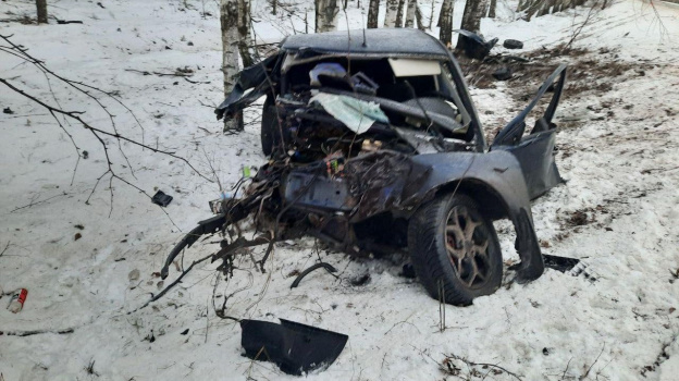 Иномарка вылетела с дороги и врезалась в дерево в Эртильском районе Воронежской области