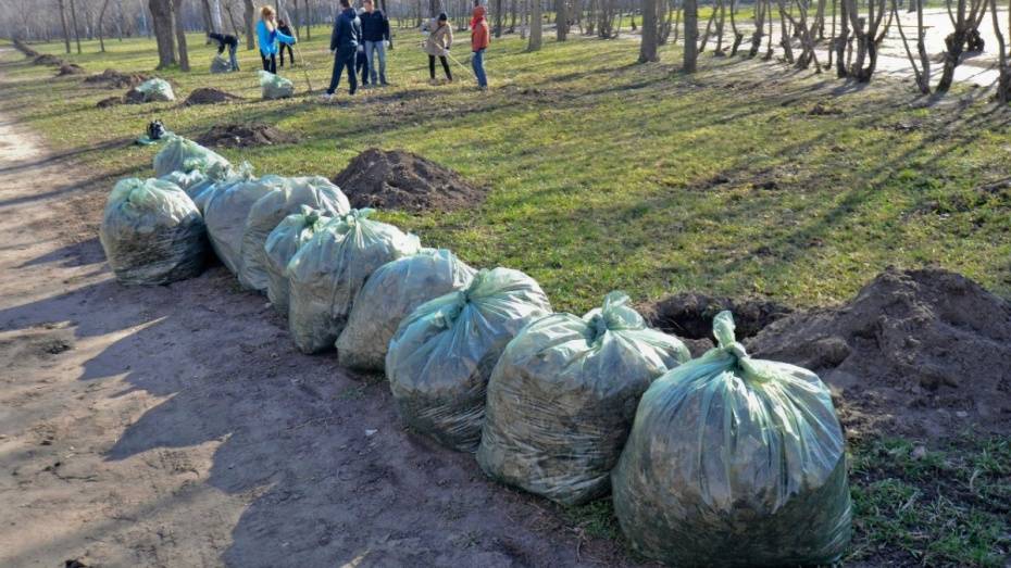 В Воронежской области в ходе месячника благоустройства убрали более 13 тыс га территорий