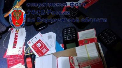 В Воронеже задержали 3 владельцев SIM-боксов, используемых сетевыми террористами