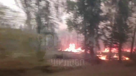 Лесной пожар в воронежском Шилово сняли на видео