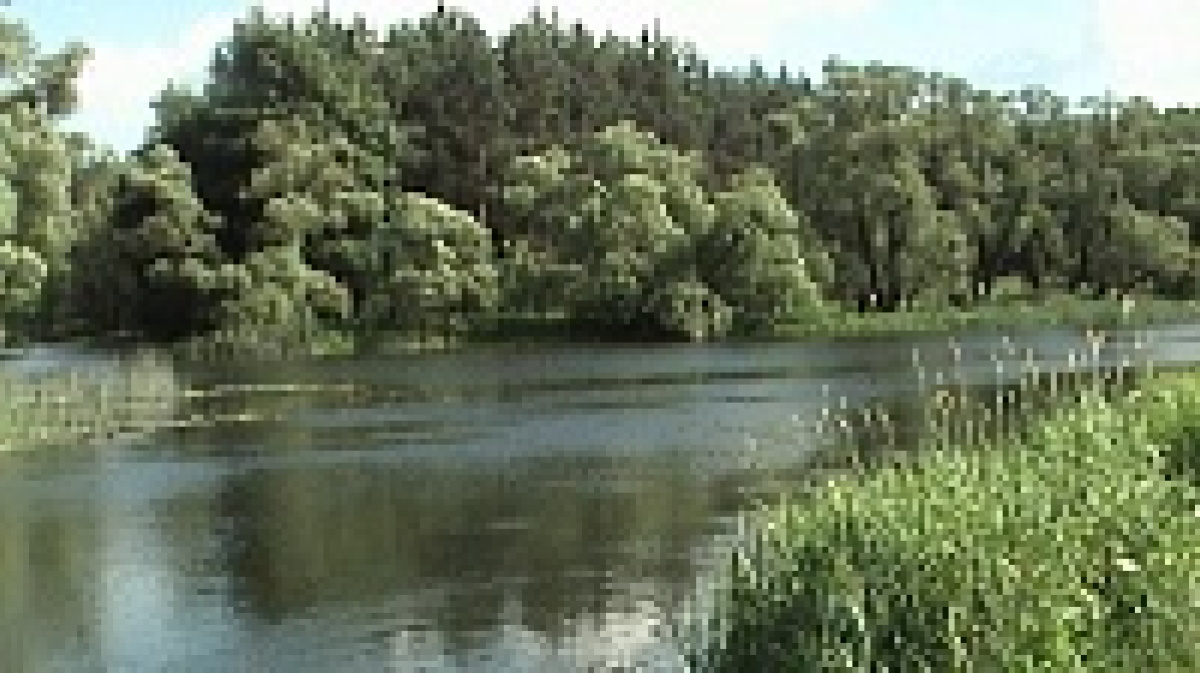 Река в Борисоглебске Воронежской области