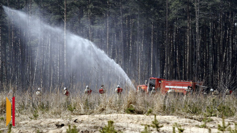 Высокий уровень пожароопасности установили в 17 районах Воронежской области