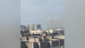 Воронежцы сообщили о пожаре в Северном лесу днем 31 августа