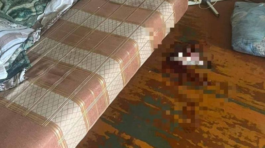 В Воронеже 19-летний парень с помощью ножа попытался расправиться с отчимом