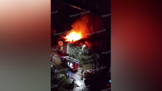 В ночном пожаре на улице Ржевской в Воронеже погиб 60-летний мужчина