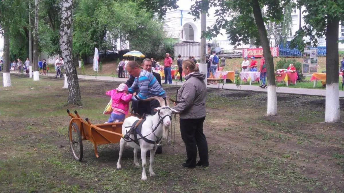 Яшка в упряжке. Жительница Репьевского района поделилась секретами  дрессировки козла