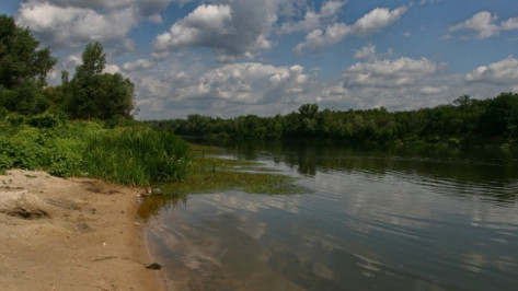 В Воронежской области 71-летний мужчина утонул в реке Дон 