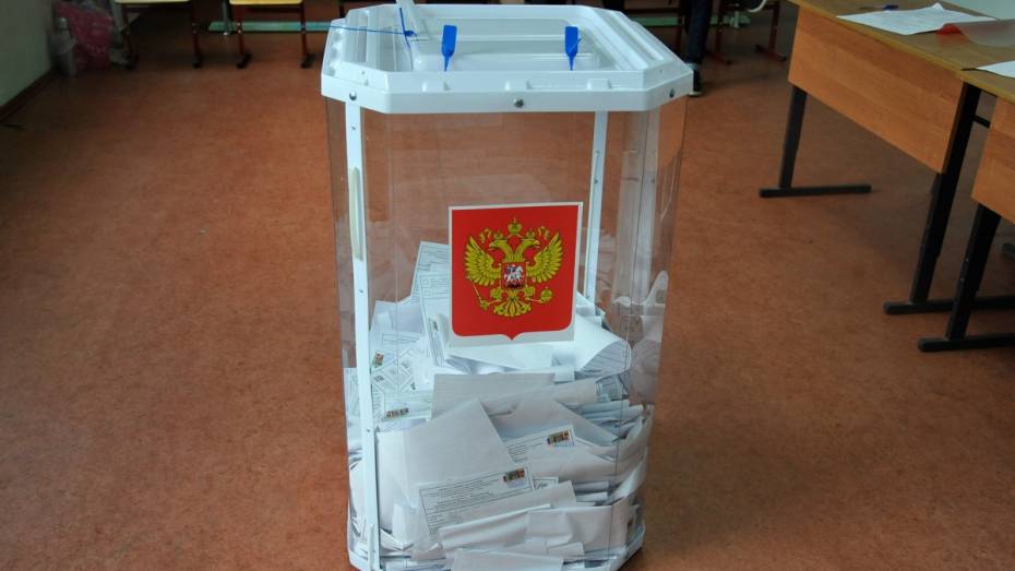 Видеокамеры установили на 673 избирательных участках Воронежской области