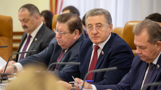 Воронежский сенатор Сергей Лукин: «Нужно сохранить отрасль в условиях 