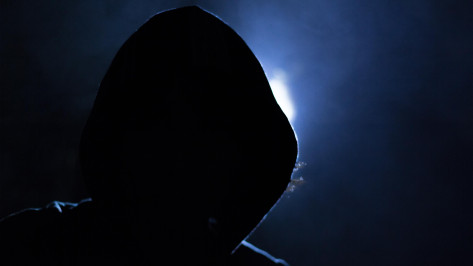 Билайн заблокировал 5,4 млн мошеннических звонков в Воронежской области