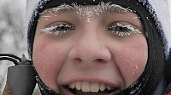 В воронежских школах пока не планируют отменять занятия из-за холодов