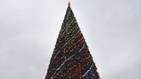 Перед открытием новогодней елки на площади Ленина в Воронеже установят турникеты с металлоискателями