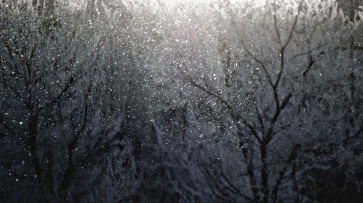 Воронежцев предупредили о сильном мокром снеге и метели