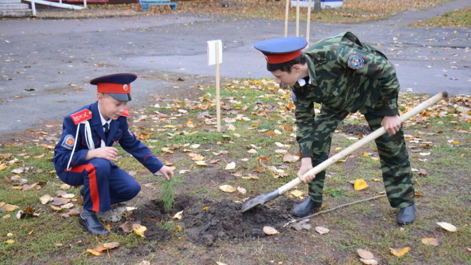 В верхнемамонском селе Гороховка заложили кадетский парк