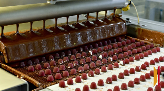 Владелец ГК «КДВ» обжаловал национализацию кондитерской фабрики под Воронежем