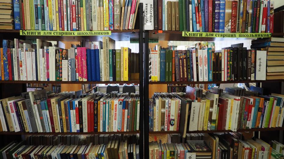 Воронежцы могут подарить прочитанные книги Никитинской библиотеке
