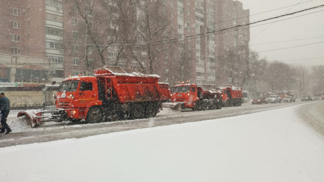В новогоднюю ночь из Воронежа вывезли 200 кубометров снега