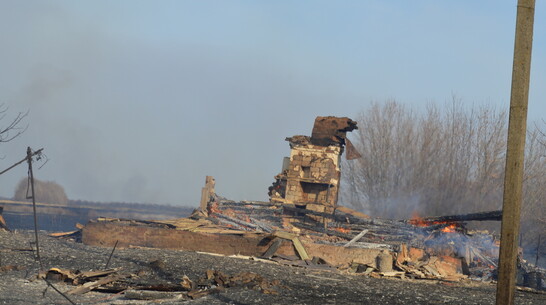 В Терновском районе сгорели 8 нежилых домов и 3 га травы