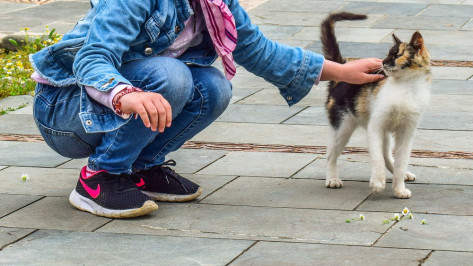 Полицейские вернули домой потерявшуюся 5-летнюю девочку в Воронежской области