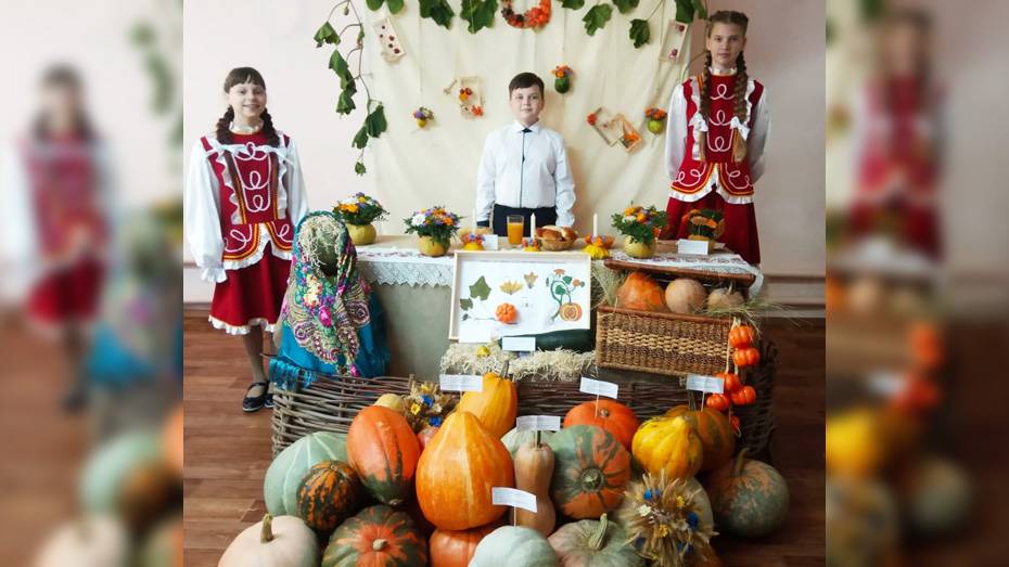 Юные исследователи из Борисоглебска стали призерами областного этапа конкурса «Юннат-2021»