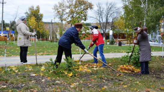 В Нижнедевицком районе прошел субботник 