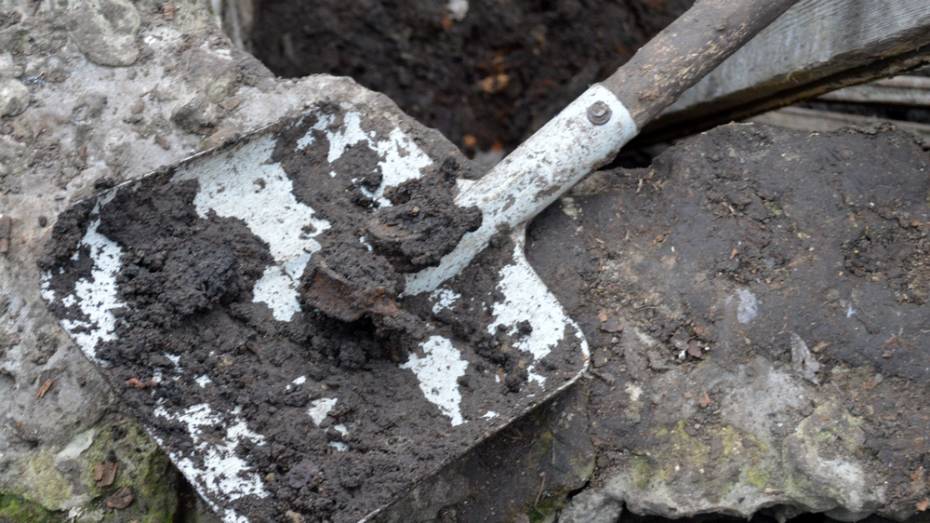 В Воронежской области подростки нашли в старом погребе человеческие останки 