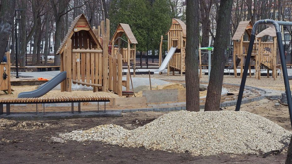 В Воронеже не выбрали подрядчика для завершения детской зоны в парке «Орленок»