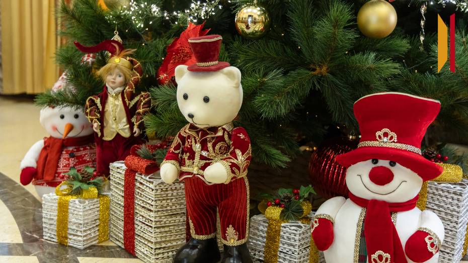 Зампреды облправительства исполнят мечты юных воронежцев в рамках акции «Елка желаний»